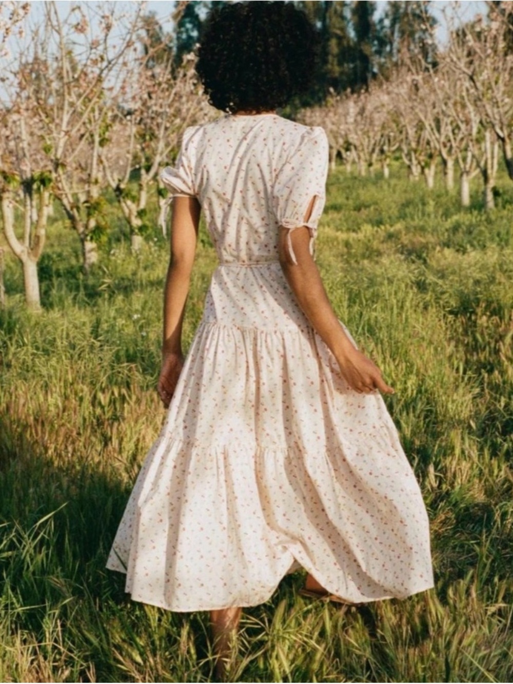 Christy Dawn Augusta Midi Dress in Carnelian Aster Garden - Picture 4 of 16